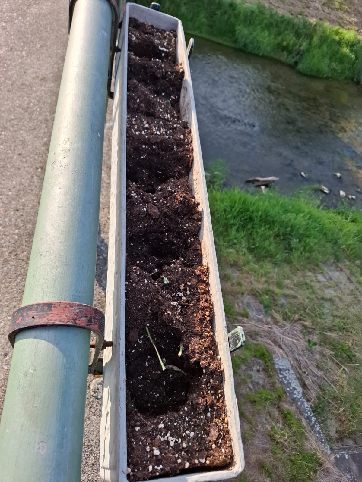Ein Metallgitter gefüllt mit Erde, befestigt an einem Metallpfosten, mit einem Fluss und einem Grasufer im Hintergrund.