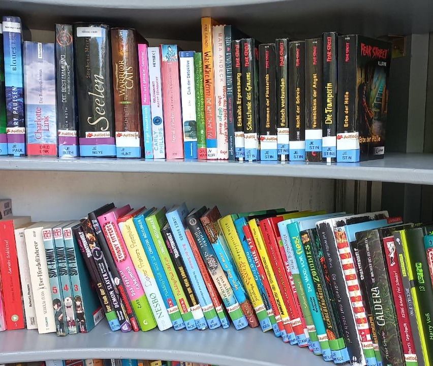 A bookshelf filled with various books, including titles like 'Fear Street', 'Charlotte Link', and 'Seelen', arranged in two rows. The books are of different sizes and colors, with some having stickers on them.