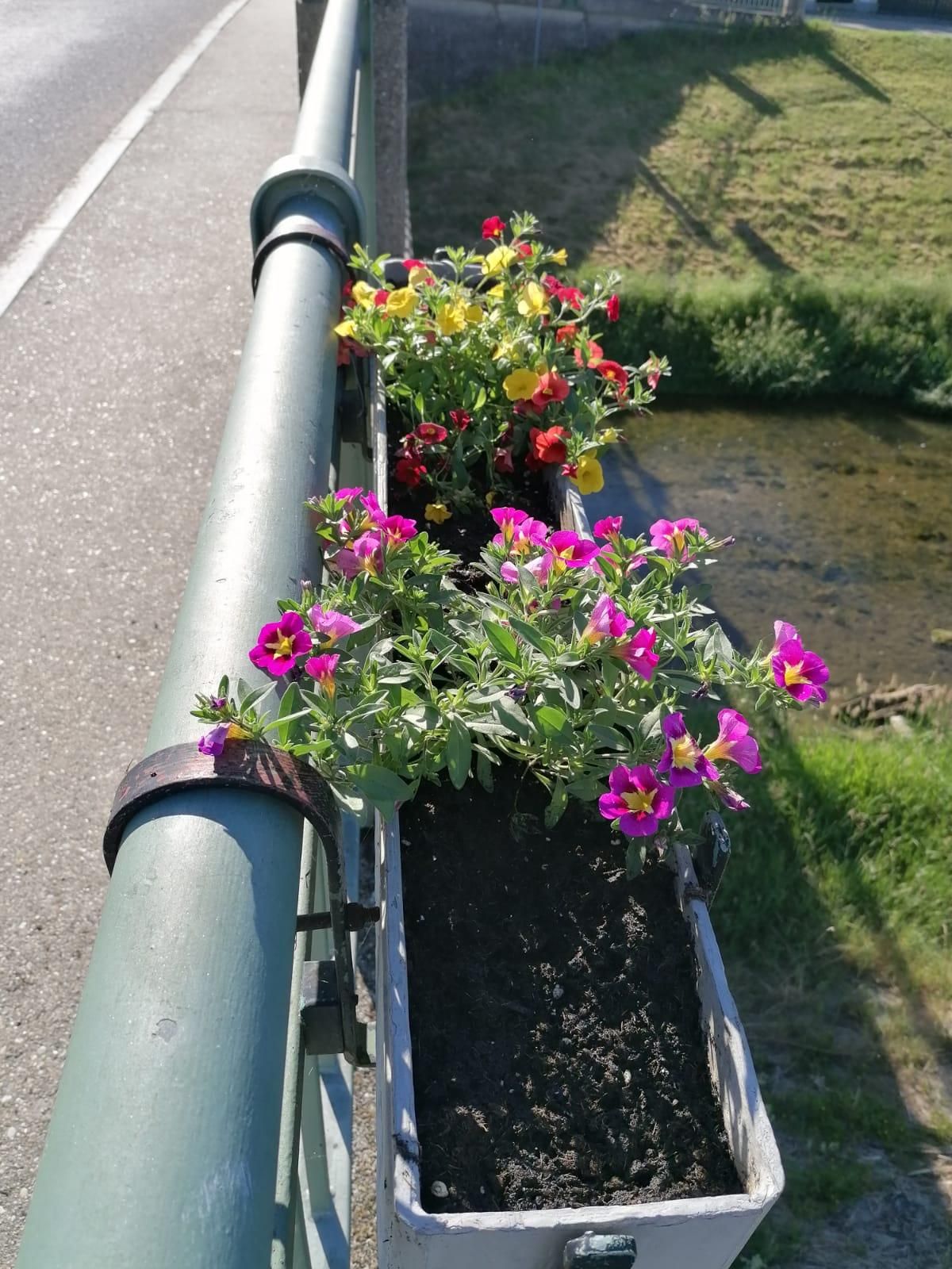 Ein grüner Metallzaun hält eine lange Pflanzbox mit violetten, gelben und roten Blumen. Hinter der Box befindet sich ein Gewässer und ein Grasbereich.