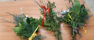 Bild enthält, Flower, Plant, Flower Arrangement