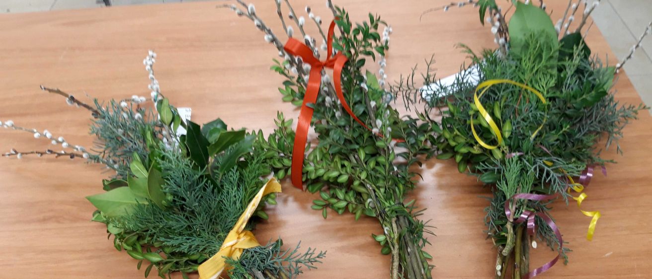 Bild enthält, Flower, Plant, Flower Arrangement