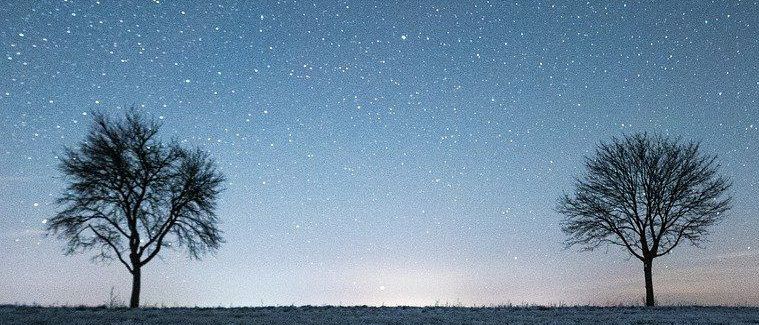 Bild enthält, Nature, Night, Outdoors, Plant, Tree, Sky, Ground, Landscape, Scenery, Starry Sky