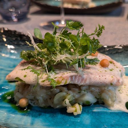 Ein Gericht mit Fischfilet und grüner Garnierung auf einem blauen Teller. Das Gericht ist mit Kräutern und Kichererbsen garniert.