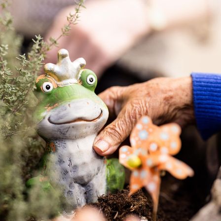 Eine Krötenfigur mit goldener Krone steht im Garten. Eine Hand berührt sanft die Kröte, mit einer bunten Blume in der Nähe.