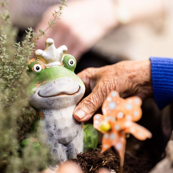 Eine Krötenfigur mit goldener Krone steht im Garten. Eine Hand berührt sanft die Kröte, mit einer bunten Blume in der Nähe.