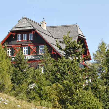 Bild enthält, Plant, Tree, Fir, Architecture, Building, Shelter, Conifer, Housing, House, Spruce