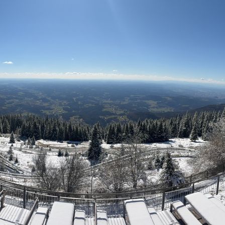 Bild enthält, Tree, Fir, Nature, Outdoors, Scenery, Landscape, Truck, Conifer, Panoramic, Bus
