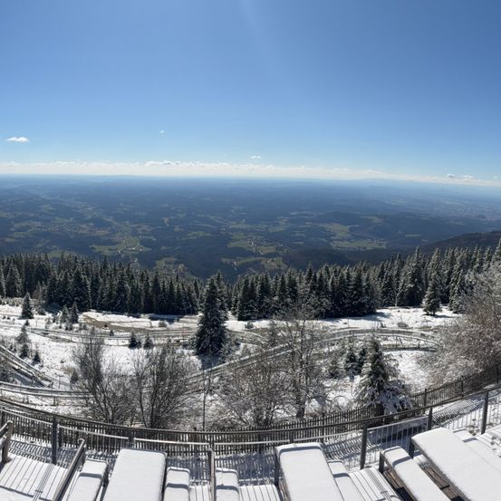 Bild enthält, Tree, Fir, Nature, Outdoors, Scenery, Landscape, Truck, Conifer, Panoramic, Bus