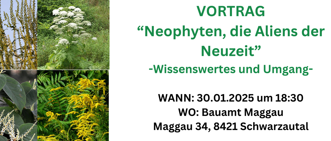 Bild enthält, Herbal, Herbs, Plant, Vegetation, Grass, Garden, Advertisement, Poster, Flower, Woodland