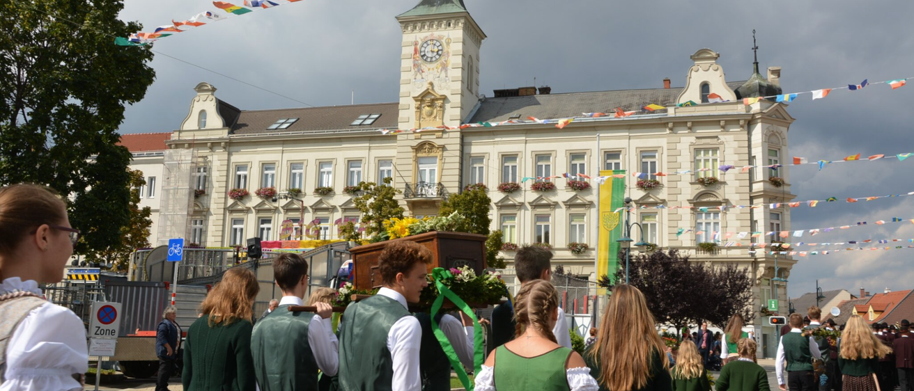 v1_migrated_image_18931911