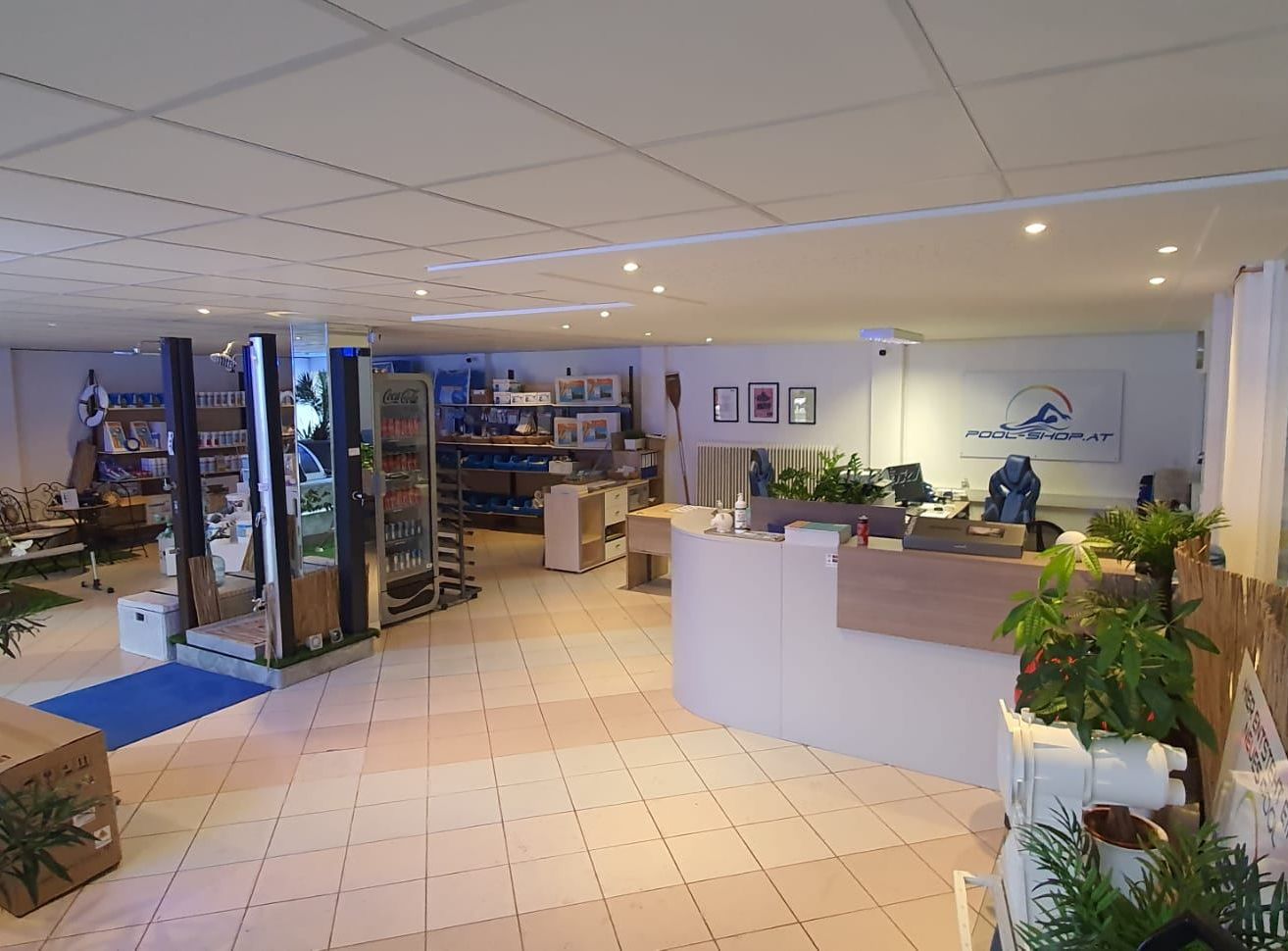 Ein Innenraum eines Geschäfts mit einer Theke mit Pflanzen, einem Kühlschrank mit Coca-Cola, Regalen mit Gegenständen, gerahmten Bildern und einem blauen Teppich. Die Decke hat Lichter.