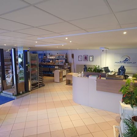 Ein Innenraum eines Geschäfts mit einer Theke mit Pflanzen, einem Kühlschrank mit Coca-Cola, Regalen mit Gegenständen, gerahmten Bildern und einem blauen Teppich. Die Decke hat Lichter.