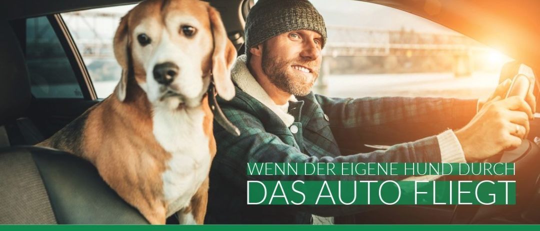 Ein Mann fährt Auto, während sein Hund neben ihm sitzt und in die Kamera lächelt.