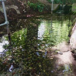 Klares Wasser zum Kneippen