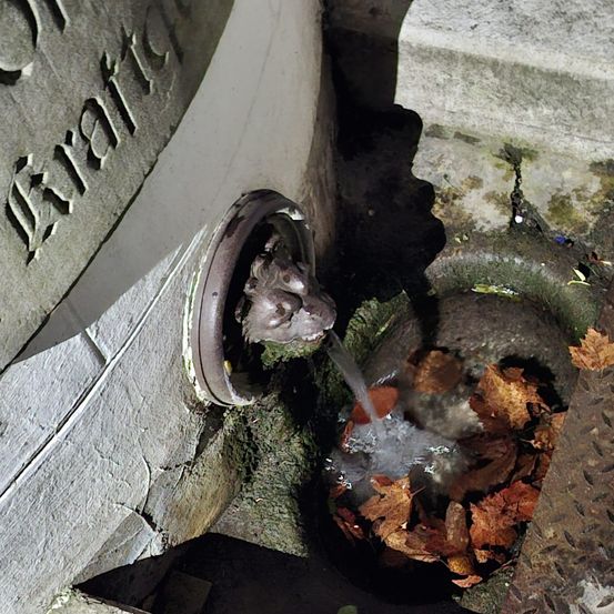 Ein Brunnen mit einem Löwenkopf als Auslass gibt Wasser in einen Pool. Blätter sind verstreut. Der Brunnen ist aus Stein.