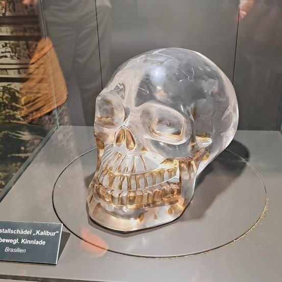 Ein Glasschädel mit goldenen Zähnen ist in einem Glaskasten ausgestellt, möglicherweise in einem Museum. Der Schädel hat einen beweglichen Kiefer und ein Schild mit der Aufschrift 'Kalibur'.