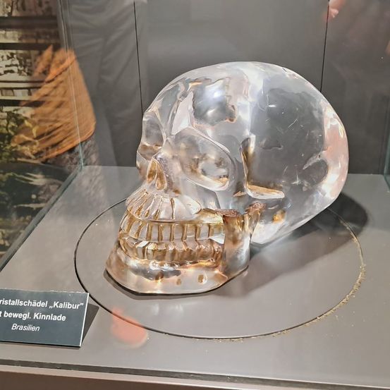 Ein Kristallschädel, gekennzeichnet mit Kalibur, ist in einer Glasvitrine ausgestellt. Der Schädel hat goldene Zähne und einen klaren Glaskörper. Er steht auf einem runden Teller mit einem Etikett darunter.