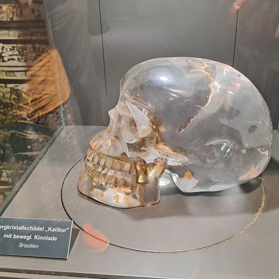 Ein Glasschädel mit beweglichem Kiefer und Augenhöhlen, genannt Kalibur, ist in einem Glaskasten ausgestellt.