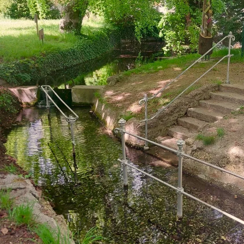 Ein kleiner Bach mit einer Brücke und Stufen, die zu einem Grasbereich mit Bäumen und Pflanzen führen.