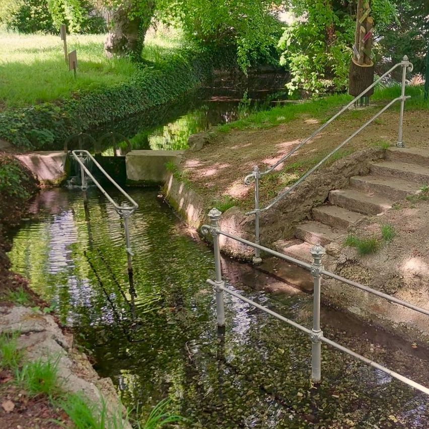 Ein kleiner Bach mit einer Brücke und Stufen, die zu einem Grasbereich mit Bäumen und Pflanzen führen.