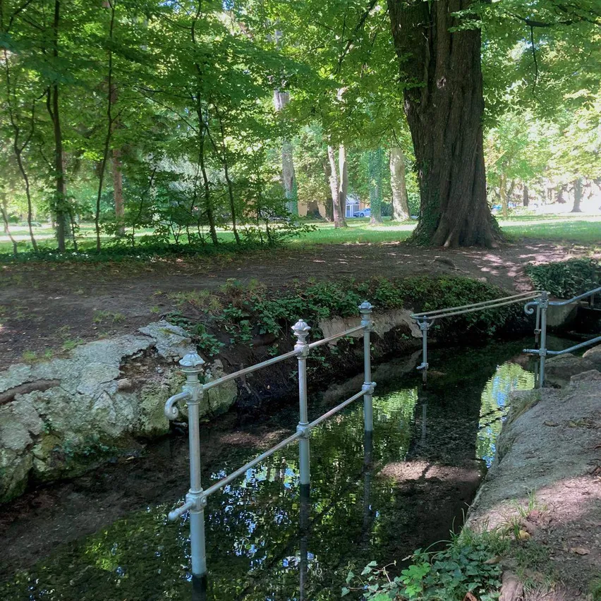 Eine ruhige Parkszene mit einem kleinen Bach, der durch das Gelände fließt, umgeben von üppigem Grün und einem großen Baumstamm im Hintergrund.