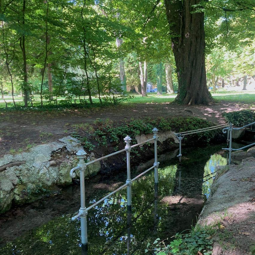 Eine ruhige Parkszene mit einem kleinen Bach, der durch das Gelände fließt, umgeben von üppigem Grün und einem großen Baumstamm im Hintergrund.