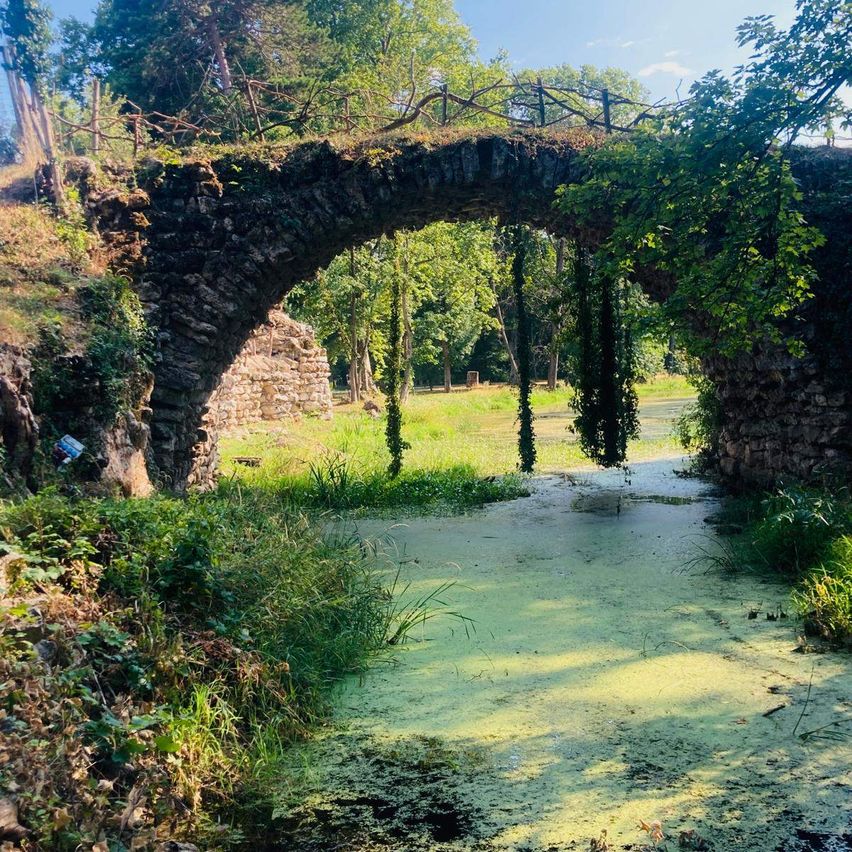 Ein steinerner Bogenbrücke, bedeckt mit grünem Moos und Ranken, führt in einen schattigen Waldweg.