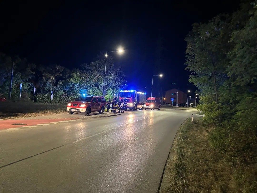 Bild enthält, Person, Car, Transportation, Vehicle, Truck, Fire Truck, Clothing, Footwear, Shoe, Fire Station