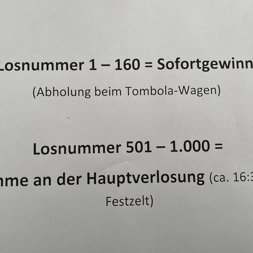 The image shows a white page with two lines of text. The first line reads 'Losnummer 1-160 = Sofortgewinn (Abholung beim Tombola-Wagen)'. The second line reads 'Losnummer 501-1.000 = Nähe an der Hauptverlosung (ca. 16:30 Festzelt)'. The text is in German.