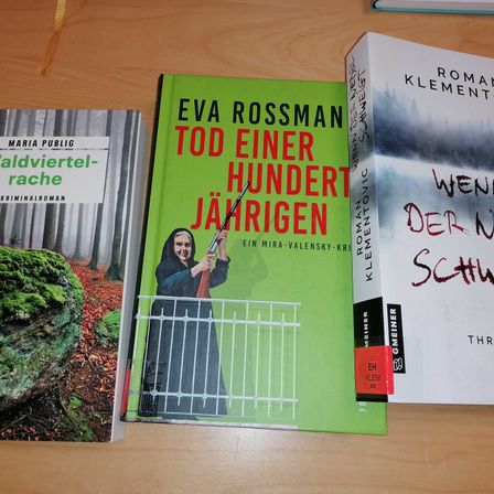 Bild enthält, Book, Publication, Adult, Female, Person, Woman, Business Card, Advertisement