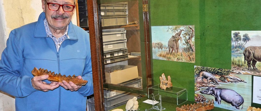 Ein älterer Mann hält ein großes Fossil vor einer Glasvitrine mit Fossilien und Tiergemälden.