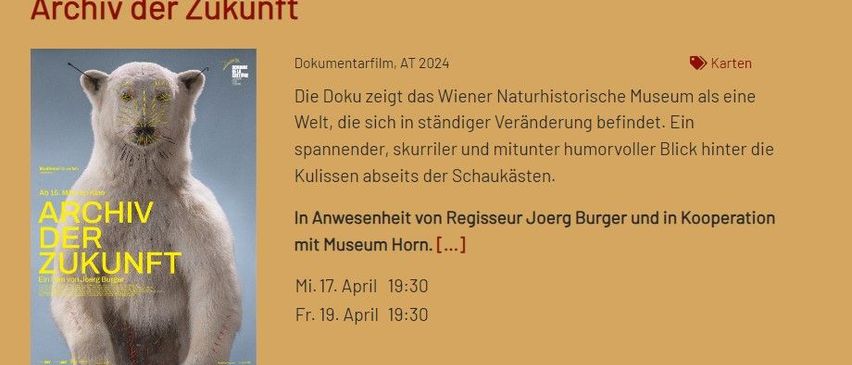 Bild enthält, Animal, Bear, Mammal, Wildlife, Polar Bear