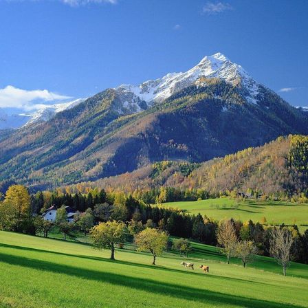 Bild enthält, Grass, Field, Landscape, Nature, Outdoors, Scenery, Park, Lawn, Peak, Tree