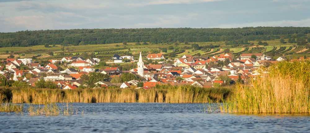 bd3e41174cbb1802_d0af8938ea269fbf2x