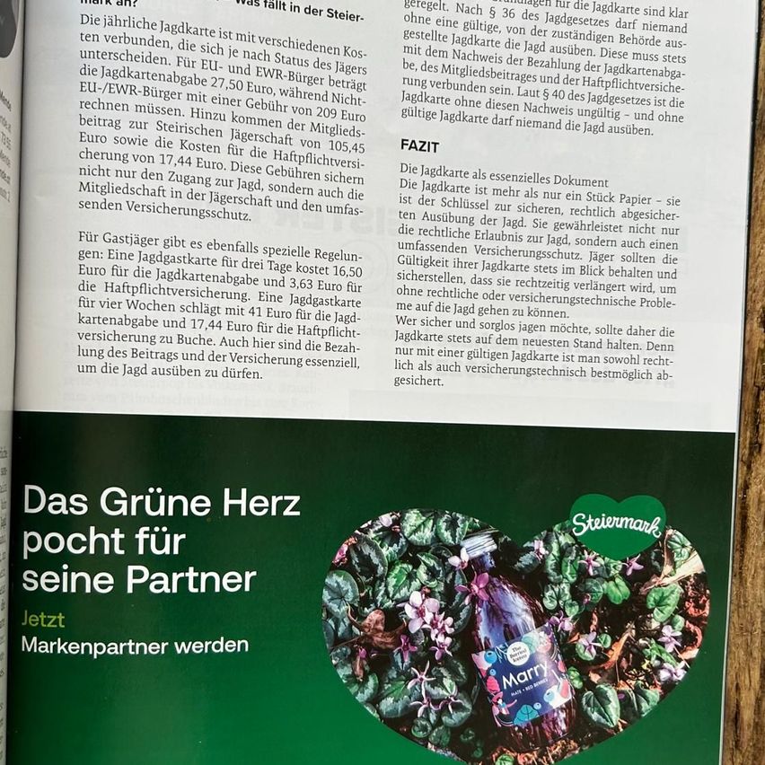 Bild enthält, Advertisement, Poster, QR Code, Business Card, Paper, Text, Food, Sweets