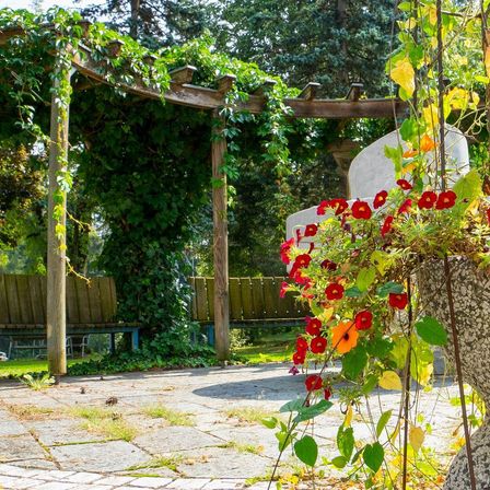 Ein Garten mit einem hölzernen Pergola, bedeckt mit Kletterpflanzen, zwei Bänken und einem großen Steinpflanzer, gefüllt mit leuchtend roten und orangefarbenen Blumen.