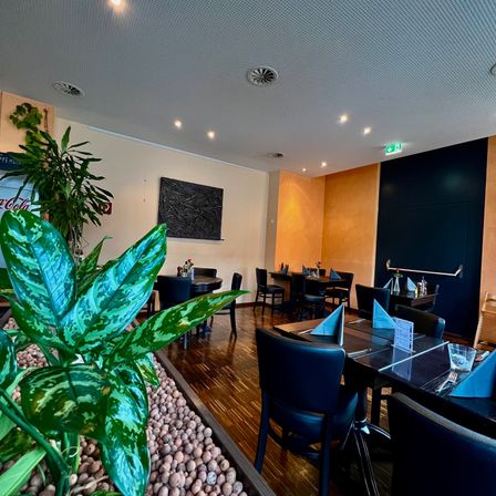 Ein leeres Restaurant mit Holztischen und Stühlen. Die Tische haben blaue Servietten, Teller und Besteck. Links sind Topfpflanzen und ein Coca-Cola-Schild an der Wand.