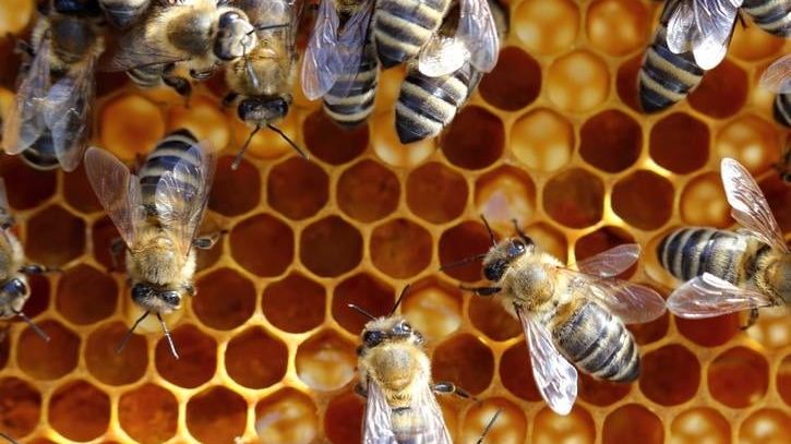 v1_migrated_image_578495