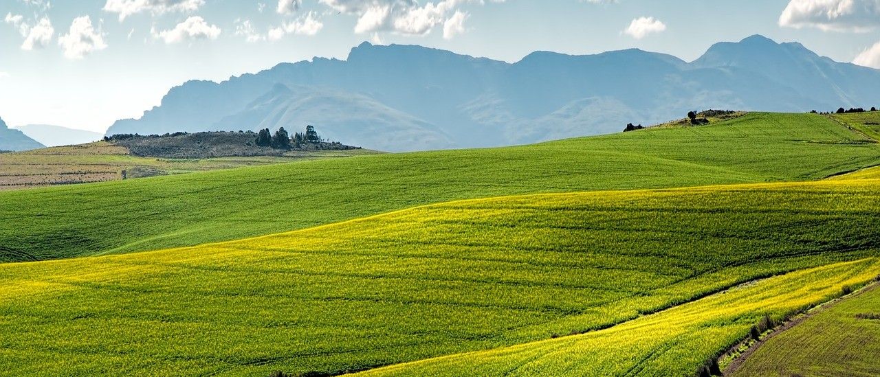 Nature, Outdoors, Scenery, Landscape, Countryside, Panoramic, Rural, Sky, Cow, Farm