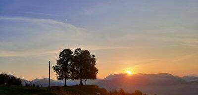 Sonnenuntergang über einer Bergkette, mit zwei Bäumen auf einem Grashügel. Der Himmel ist blau mit einigen Wolken.