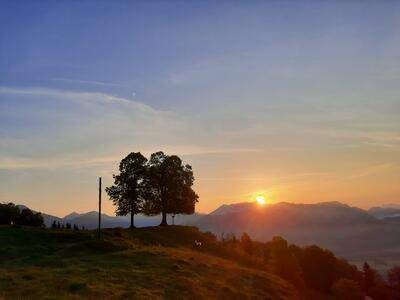 Sonnenuntergang über einer Bergkette, mit zwei Bäumen auf einem Grashügel. Der Himmel ist blau mit einigen Wolken.