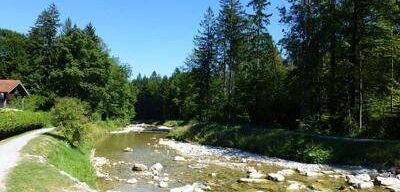 Ein ruhiger Fluss mit Felsen und Grün, umgeben von einem Wald und einem kleinen Haus, unter einem klaren blauen Himmel.