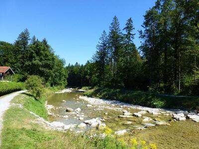 Ein ruhiger Fluss mit Felsen und Grün, umgeben von einem Wald und einem kleinen Haus, unter einem klaren blauen Himmel.