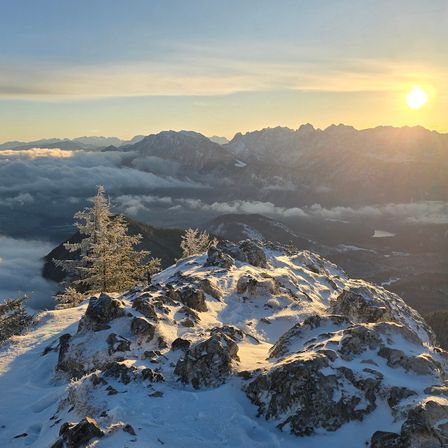 Ein atemberaubender Blick auf einen verschneiten Berggipfel bei Sonnenaufgang. Schneebedeckte Felsen und ein gefrorener Baum zieren den Vordergrund. Die Sonne steigt hinter den Bergen auf und taucht die Wolken in ein goldenes Licht.