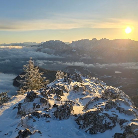 Ein atemberaubender Blick auf einen verschneiten Berggipfel bei Sonnenaufgang. Schneebedeckte Felsen und ein gefrorener Baum zieren den Vordergrund. Die Sonne steigt hinter den Bergen auf und taucht die Wolken in ein goldenes Licht.