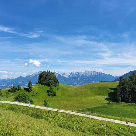 Ein malerischer Weg schlängelt sich durch saftig grüne Hügel unter einem klaren blauen Himmel. Berge ragen in der Ferne auf und werfen Schatten auf den Hügel. Bäume und Sträucher zieren die Landschaft, mit einem Schaukelset im Vordergrund.