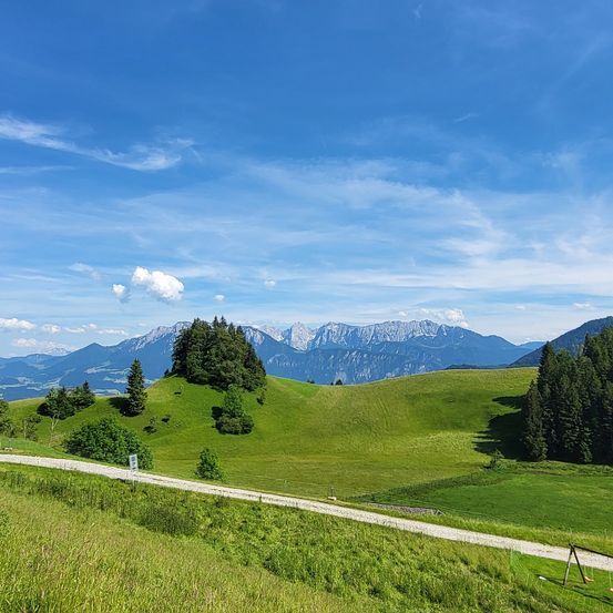 Ein malerischer Weg schlängelt sich durch saftig grüne Hügel unter einem klaren blauen Himmel. Berge ragen in der Ferne auf und werfen Schatten auf den Hügel. Bäume und Sträucher zieren die Landschaft, mit einem Schaukelset im Vordergrund.
