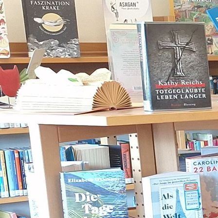 Bild enthält, Book, Publication, Indoors, Library, Bookstore, Shop, Chair, Furniture, Building, Box