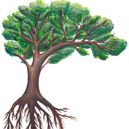 Eine Illustration eines Baumes mit sichtbarem Stamm und Wurzeln. Der Baum hat eine runde Krone aus Blättern.