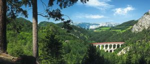 Ein landschaftlicher Blick auf einen Wald mit einer Brücke im Vordergrund und Bergen im Hintergrund unter einem blauen Himmel.